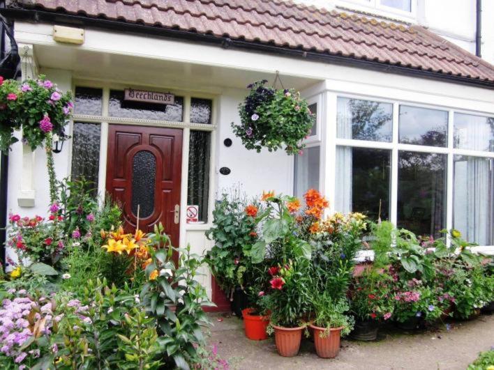 Beechlands B & B Sleights Exteriör bild