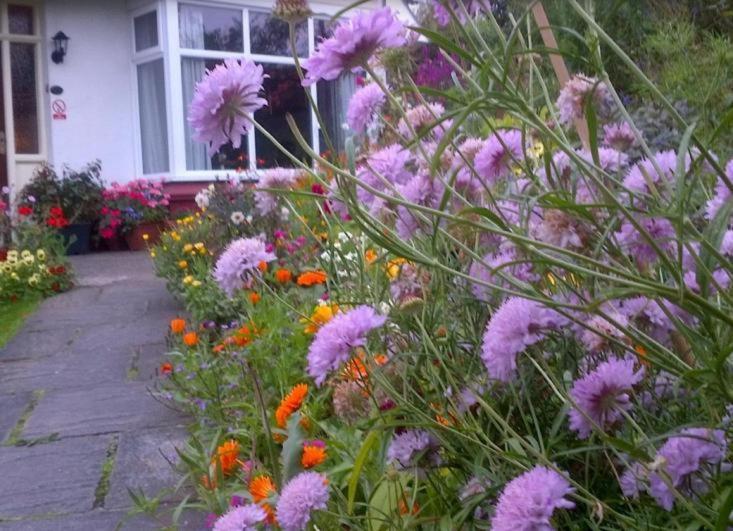 Beechlands B & B Sleights Exteriör bild